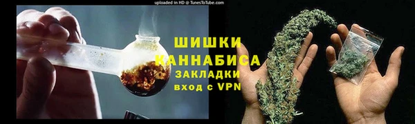 гидра Бронницы