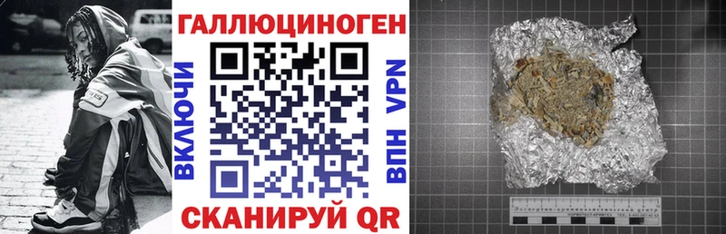 купить  сайты  Бежецк  дарк нет формула  Псилоцибиновые грибы Psilocybe 